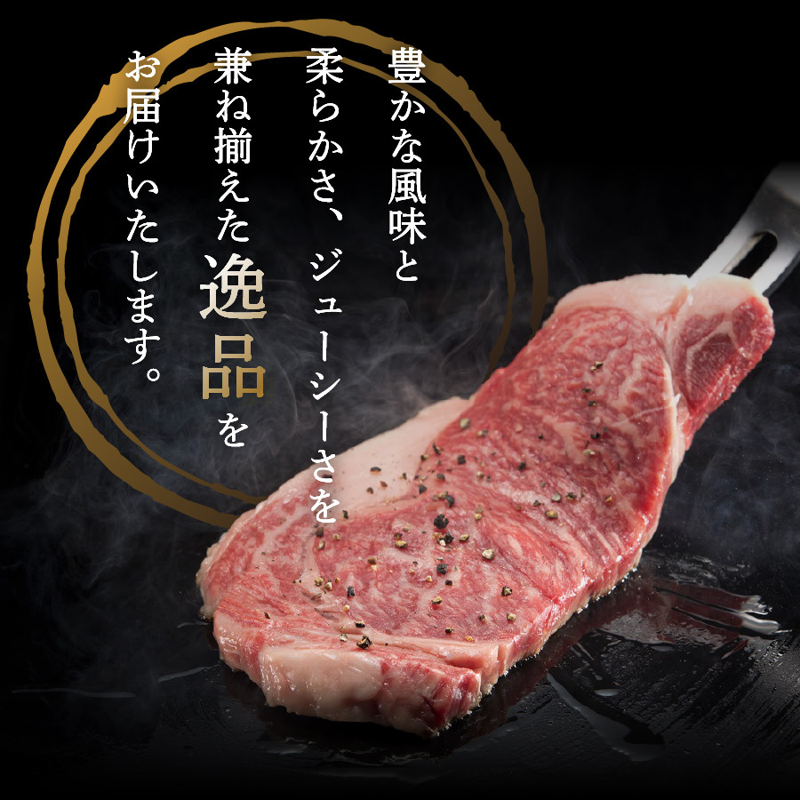 【奇数月にお届け】富士山麓牛定期便 肉 ロース ステーキ 焼き肉 すき焼き 富士山麓牛 山梨 富士吉田