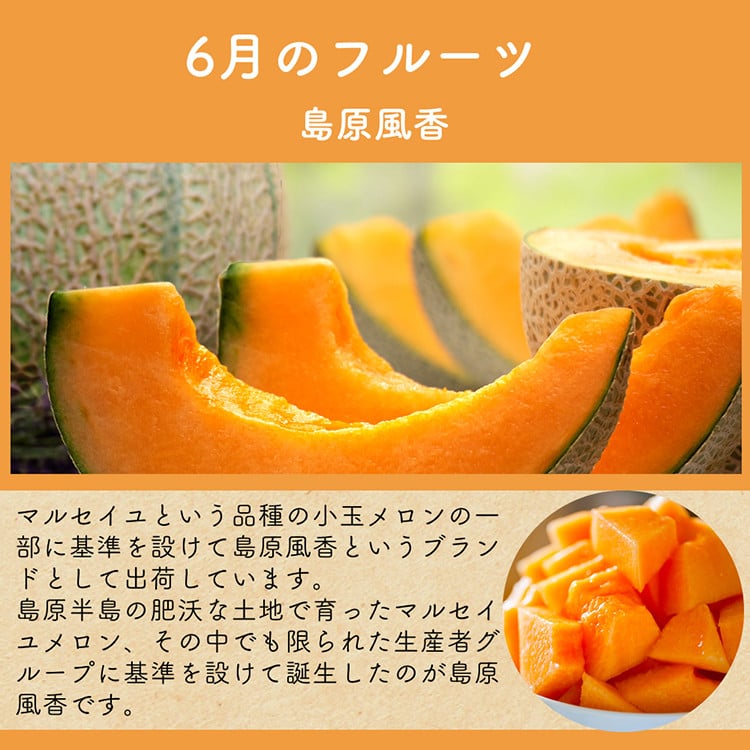 CH106 【令和8年度出荷分】【春～夏季】フルーツ定期便（全4回） ハウスびわ 小玉スイカ 小玉メロン 梨 [ 果物 フルーツ びわ すいか メロン ナシ 長崎県 島原市 ]