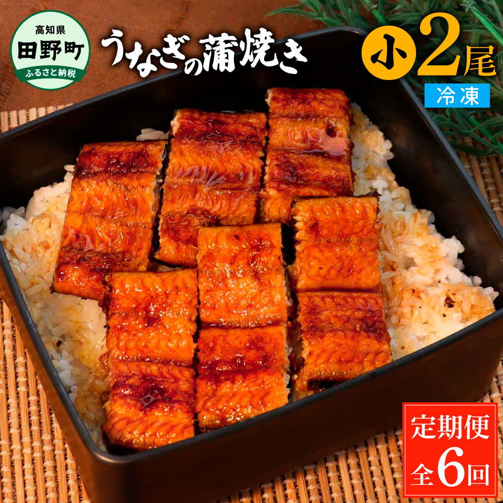 田野町産うなぎの蒲焼き(小) 2尾×6回 定期便 6ヶ月 定期コース 1尾あたり90~120g タレ付き 山椒付き うなぎ 鰻 ウナギ 蒲焼き かば焼き 無頭 おいしい 国産 お取り寄せ 冷凍 配送
