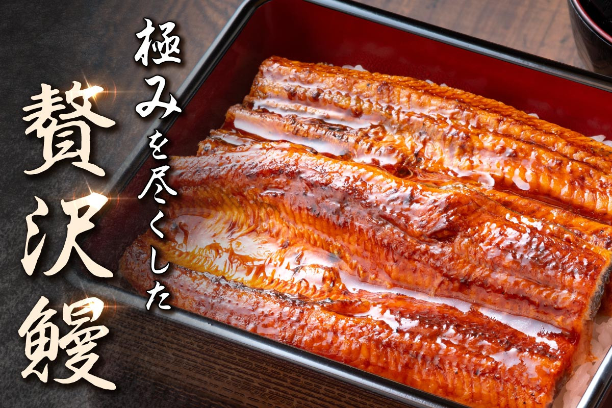 鹿児島県産 長蒲焼 特大3尾 200g以上 × 3尾 鰻 国産うなぎ蒲焼き うな重 ひつまぶし ウナギ 蒲焼 人気 おすすめ  ふるさと納税 鹿児島県 大崎町 A932