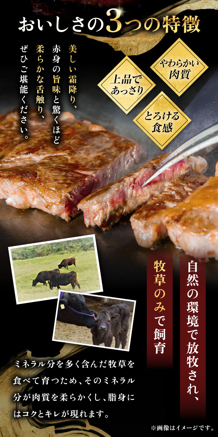 【全12回定期便】《100万》 壱岐牛 ギュギュギュ 定期便 （弐）《壱岐市》 肉 ステーキ 焼肉 しゃぶしゃぶ すき焼き 赤身 [JZX011] 1000000 1000000円 100万円 ゴチになります ぐるナイ 壱岐牛