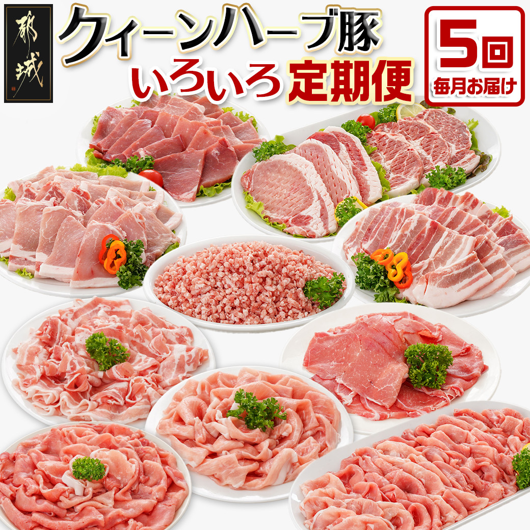 「クイーンハーブ豚」のいろいろ定期便(5ヶ月)_T60（5）-2903_(都城市) 毎月お届け(月1回) 豚肉の色々な部位やカットをセットでお届け スライス しゃぶしゃぶ用 とんかつ用 焼肉用 ミンチ 豚バラ ロースなど 