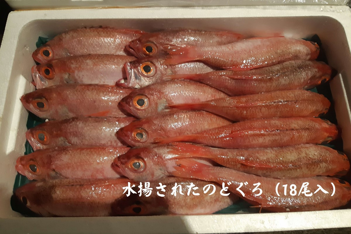 山陰浜田港あけぼの丸が贈る贅沢のどぐろ定期便（3回）魚介 のどぐろ アカムツ 一夜干し 刺し身 のどぐろしゃぶセット セット しゃぶしゃぶ 定期便 定期 3回 【146_2045】