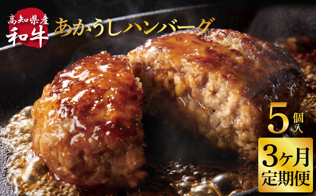 創業50年老舗レストランの幻の和牛あかうしハンバーグ130g×5ケ 3ヶ月定期便 土佐あかうし 美鮮豚 牛肉 高級 ハンバーグ 冷凍 美味しい 肉汁ハンバーグ 焼くだけ 小分け 個包装 高級 国産 定期便 定期コース