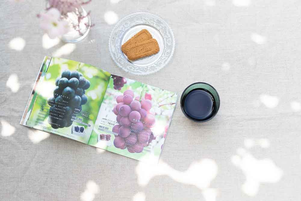 後からゆっくり選べる!フルーツカタログ2品選べる『プレミアムギフトカタログ』桃 シャインマスカット_ ギフト カタログ あとから選べる 山梨 桃 シャインマスカット フルーツ 果物 あとから セレクト スイーツ 米 日本酒 水 飲料 菓子 贈答 【1114876】