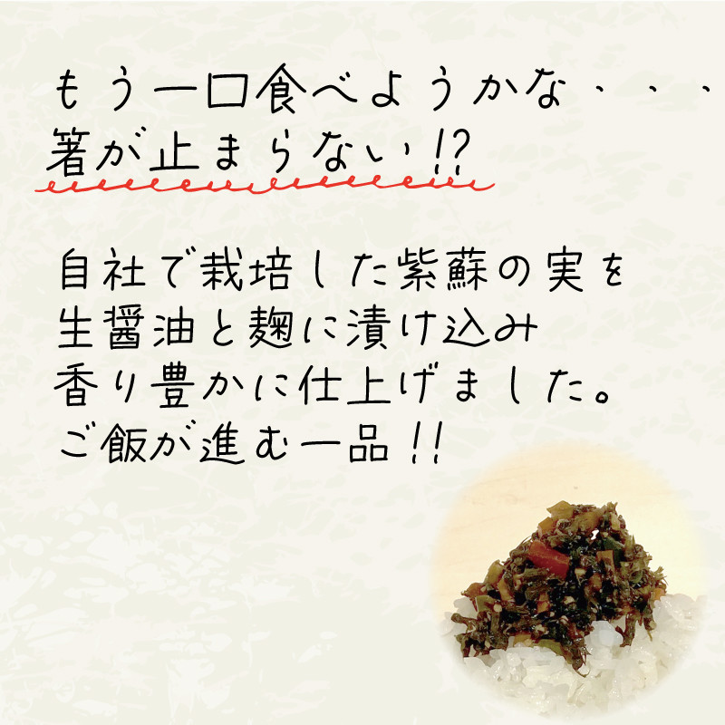 ごはんへらし 200g 【予約受付 [発送予定11月～] 】紫蘇の実 しそ 紫蘇 惣菜 そうざい お惣菜 保存 保存食 防災 非常 非常食 長期保存 簡単 お手軽 小分け ごはん 夕飯 おかず サラダ 三陸 岩手県 国産 大船渡