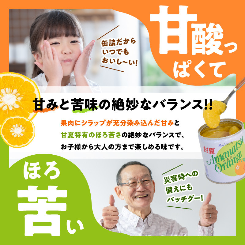 甘味と苦味のバランスが特徴 甘夏缶詰(全果粒、身割れ混合)1２缶入　甘夏みかん 缶詰 かんづめ 保存食 非常食 備蓄