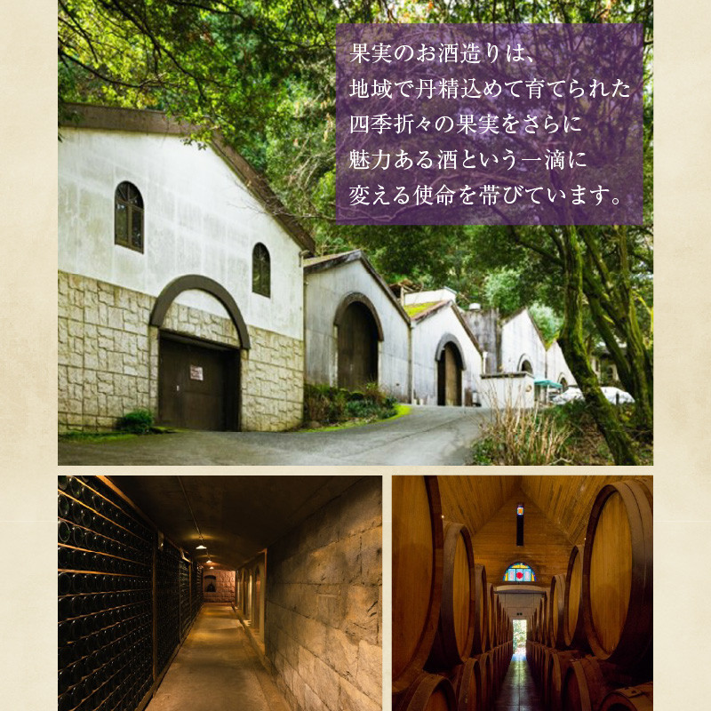 女性に大人気!ワインの赤ちゃん(500ml×2本)・ブルーベリーワインセミドライ(500ml×1本)の3本セット_ワインの赤ちゃん 2本 ブルーベリーワイン 1本 500ml × 3本 セット 初々しい 酸味 果汁っぽい 甘さ ボトルを振る 乳白色 出産祝い 最適 ワイルド ブルーベリー 100% やわらかな甘みと酸味 フルーティー ワイン お取り寄せ 福岡県 久留米市 送料無料_Ew004