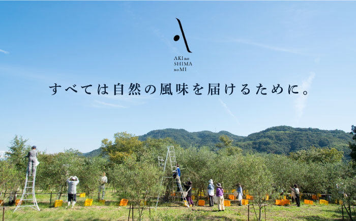 オリーブオイル『安芸の島の実』ピュアオイル 2本セット 調味料 食用油 エキストラバージン エクストラバージン おりーぶおいる おいる オリーブ油 油 調味料 食用油 ヘルシー 健康 国産 広島県産 贈答 ギフト オリーブオイル リピート ギフト プレゼント 贈答 人気 高品質 好評 広島県産 江田島市/山本倶楽部株式会社 [XAJ020]