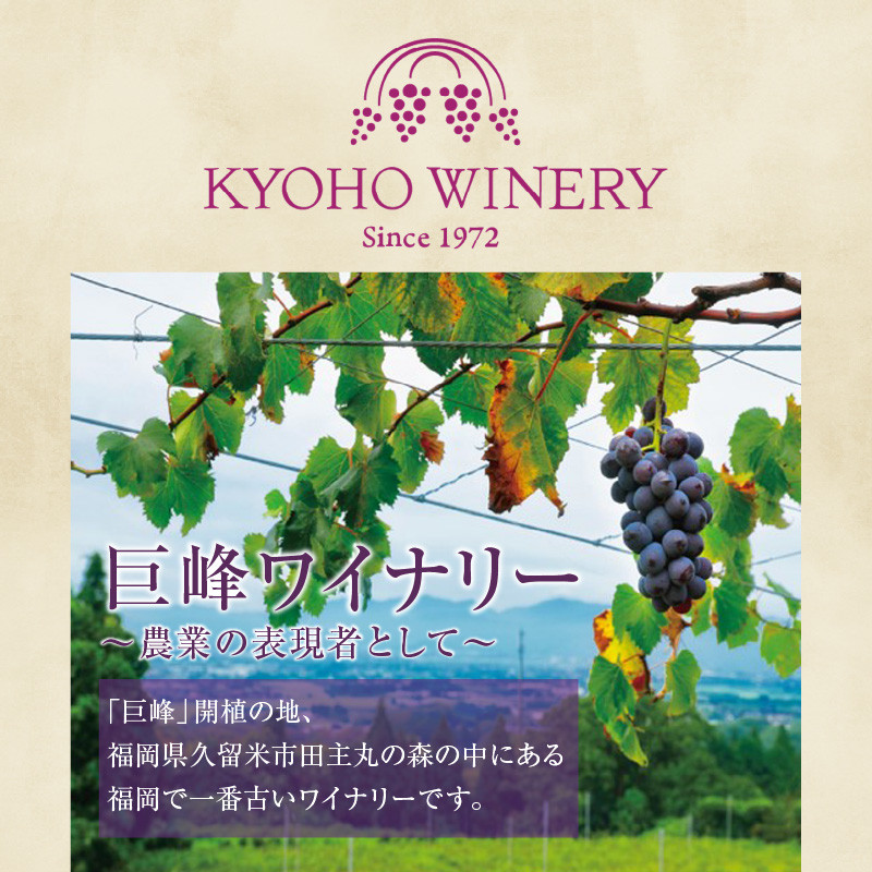 女性に大人気!ワインの赤ちゃん(500ml×2本)・ブルーベリーワインセミドライ(500ml×1本)の3本セット_ワインの赤ちゃん 2本 ブルーベリーワイン 1本 500ml × 3本 セット 初々しい 酸味 果汁っぽい 甘さ ボトルを振る 乳白色 出産祝い 最適 ワイルド ブルーベリー 100% やわらかな甘みと酸味 フルーティー ワイン お取り寄せ 福岡県 久留米市 送料無料_Ew004