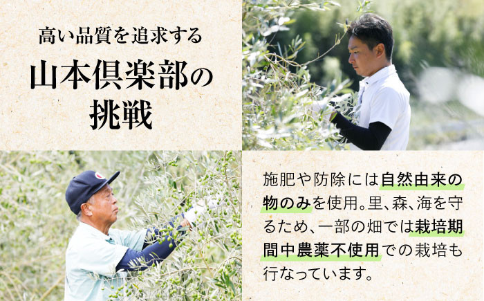 【世界一獲得】エキストラバージンオリーブオイル『安芸の島の実』江田島搾り 100mL【2025年11月下旬以降順次発送】 エキストラバージン エクストラバージン おりーぶおいる おいる オリーブ油 油 調味料 食用油 ヘルシー 健康 国産 贈答 ギフト オリーブオイル リピート ギフト プレゼント 贈答 人気 高品質 好評 広島県産 山本倶楽部株式会社/江田島市[XAJ002]