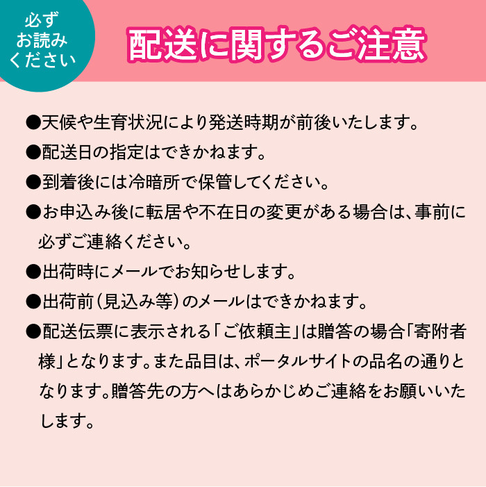 【2026年発送★先行予約】【夏冬２回発送】山梨県笛吹市産 シャインマスカット定期便 約1.0kg 2～3房入り 105-021