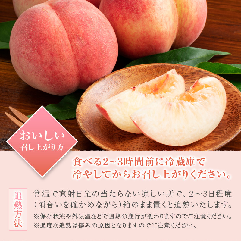 【定期便】甲州屋厳選 フルーツ定期便「年6回」H-110【 白桃 桃 もも モモ 貴陽 すもも プラム シャインマスカット 葡萄 ぶどう ブドウ 令和8年発送 令和9年発送 期間限定 山梨県産 甲州市 フルーツ 果物】