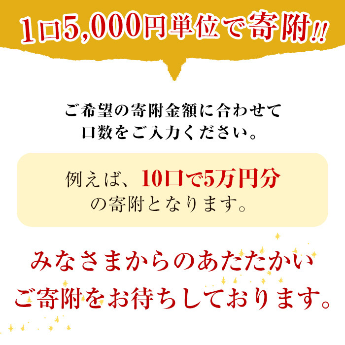 【0054601a】＜返礼品なし＞鹿児島県本土でいちばん小さな町「東串良町」への寄附(1口：5,000円)