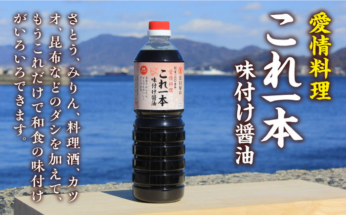 【これ1本でおいしい味付】味付け 醤油 満足 セット（特級醤油／白だし） 醤油 しょう油 しょうゆ お醤油 セット 詰め合わせ 調味料 大豆 発酵食品 刺身 煮物 だし だし醤油 出汁醤油 出汁 濃口 濃い口 こいくち 安心 安全 手作り コク 旨味 国産 料理 グルメ 保存 リピート ギフト 人気 高品質 好評 広島県産 江田島市/濱口醤油 [XAA001]