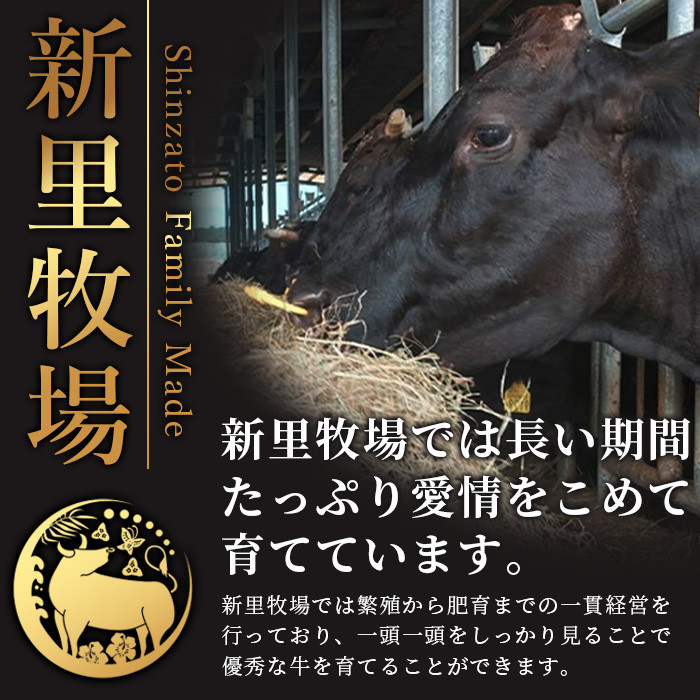 石垣島産 黒毛和牛 新里牛 ホルモンミックス(500g×2) 合計1kg SZ-23