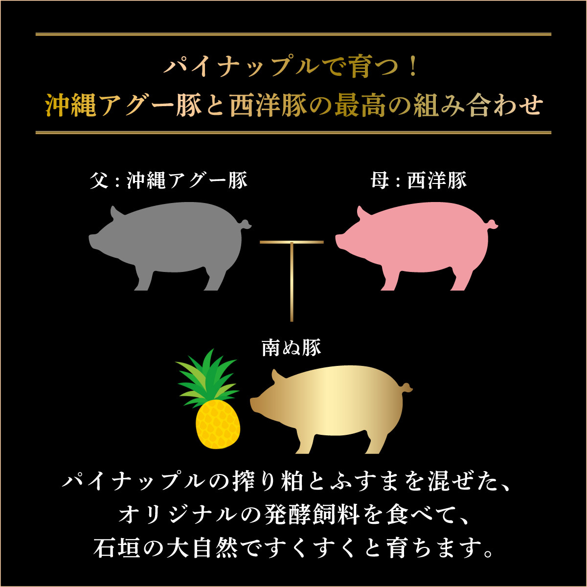 石垣島産 やえやまファームのアグ―豚(南ぬ豚)焼肉セット600g E-23