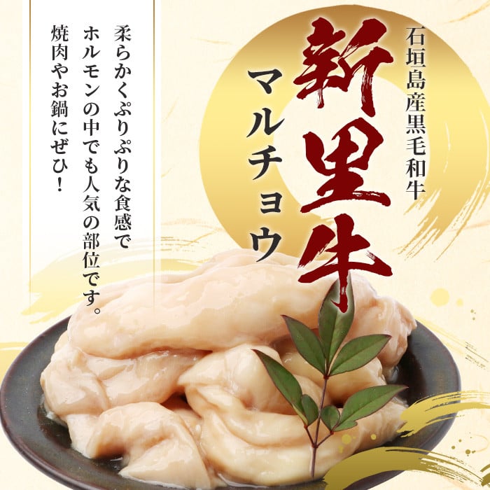 石垣島産 黒毛和牛 新里牛 マルチョウ(500g×2) 合計1kg SZ-22