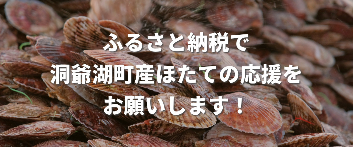 北海道産 活ほたて 2年貝 約 2kg 15枚~22枚 2026年1月中旬~2月上旬頃お届け 殻付き 貝付き 帆立 ホタテ ほたて 貝 魚介 海産 海鮮 貝柱 噴火湾 刺身 焼き フライ 生産者支援 産地直送 送料無料 魚介類 魚貝類