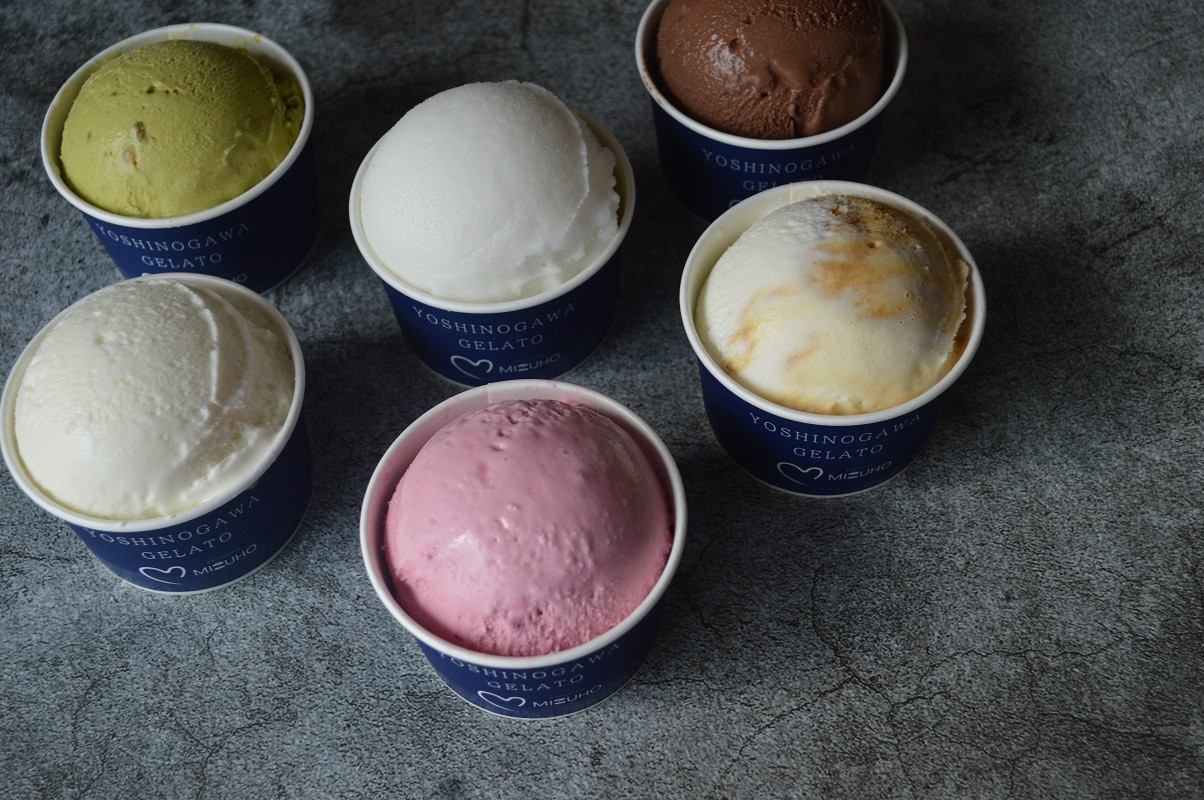 ジェラート 詰め合わせ 6個 スイーツ ピスタチオ ミルク 和三盆 チョコレート すだち デザート アイス 詰合せ 洋菓子 お菓子 ギフト プレゼント 贈答 送料無料 吉野川市 徳島県
