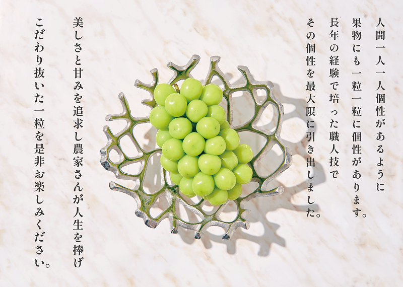 【定期便】甲州市自慢の大人気3種セット “大玉桃”“大玉貴陽”“大粒シャインマスカット”3ヶ月定期便 自然農法【2026年発送】（BNC）I8-101【貴陽 桃 すもも モモ シャインマスカット 葡萄 ぶどう 令和8年発送 期間限定 山梨県産 甲州市 フルーツ 果物】