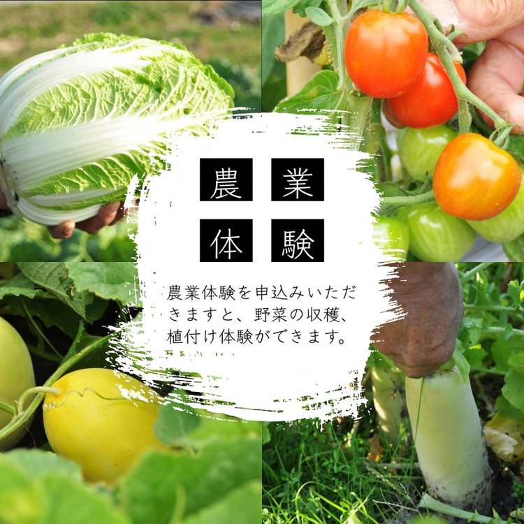 古民家 1棟貸切 × ものづくり体験の宿『霧の工坊』一泊ご宿泊券 | 京都 亀岡 宿泊 農業体験 体験 田舎 古都 別荘