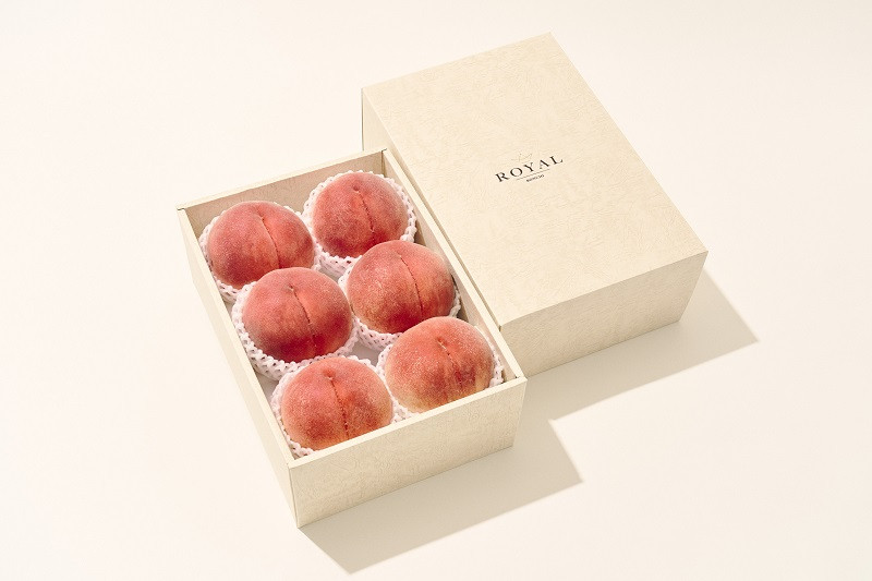 【定期便】甲州市自慢の大人気3種セット “大玉桃”“大玉貴陽”“大粒シャインマスカット”3ヶ月定期便 自然農法【2026年発送】（BNC）I8-101【貴陽 桃 すもも モモ シャインマスカット 葡萄 ぶどう 令和8年発送 期間限定 山梨県産 甲州市 フルーツ 果物】