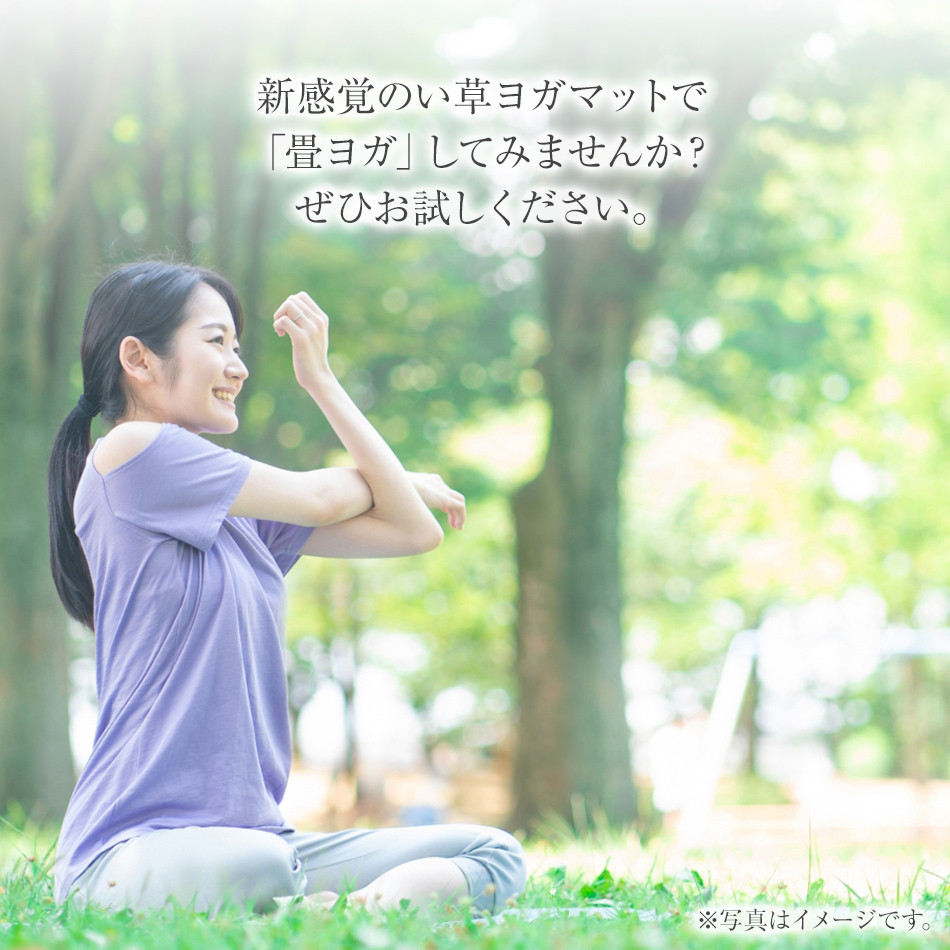 畳ヨガＥＣＯ　ｓｋｙｓｅａ　（６６×１８５）（ローズ）　AA064