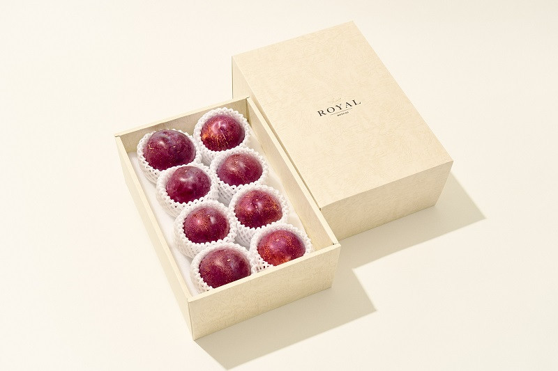 【定期便】甲州市自慢の大人気3種セット “大玉桃”“大玉貴陽”“大粒シャインマスカット”3ヶ月定期便 自然農法【2026年発送】（BNC）I8-101【貴陽 桃 すもも モモ シャインマスカット 葡萄 ぶどう 令和8年発送 期間限定 山梨県産 甲州市 フルーツ 果物】