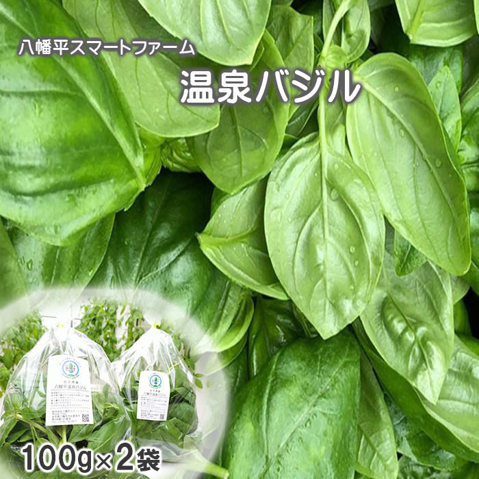 岩手県産 温泉バジル 100g×2袋 ／ バジル 生バジル 新鮮 生 薬味 ハーブ 国産 八幡平市産 イタリアン 産地直送 農家直送 常温発送 ジェノベーゼ 料理 ソース ピザ ピッツァ 調理 パスタ 炒め物 100グラム×2袋 200g 200グラム オススメ おすすめ 八幡平スマートファーム