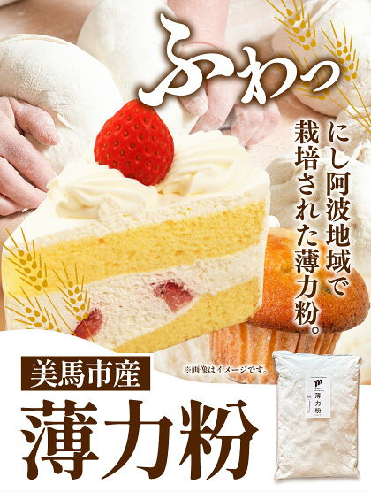 美馬市産 薄力粉 1.3kg 美馬市産 実森ラボラトリー株式会社 自家製小麦のお店mimori《30日以内に出荷予定(土日祝除く)》 送料無料 徳島県 美馬市 お菓子 パン 小麦 ケーキ