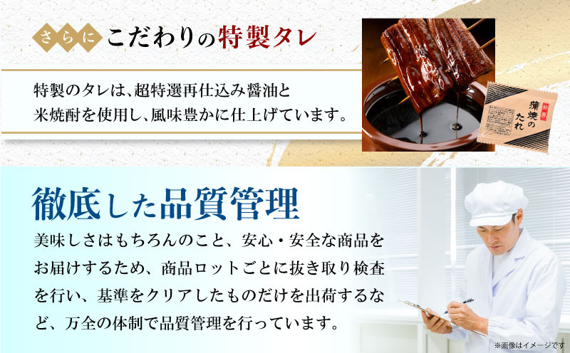 【最速便】【日時指定可能】宮崎県宮崎市産　うなぎの蒲焼　約320g（約160g×2尾）タレ・山椒セット_M325-006-2W