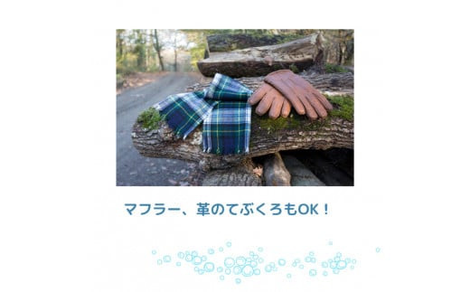 bambina竹炭ミネラル洗濯洗剤 1000ml×2本【洗剤 洗濯 日用品 日常必需品 毎日使う 定期便 肌に優しい デリケート 環境にやさしい SDGS ボトルレス 詰め替え 竹炭 毛・ウール・シルク・マフラー皮手袋OK】