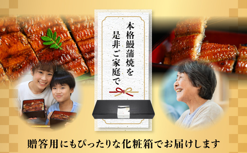 【最速便】【日時指定可能】宮崎県宮崎市産 うなぎの蒲焼 約1.1kg(約220g×5尾)タレ・山椒セット|鰻 うなぎ ウナギ うなぎ蒲焼 鰻蒲焼 ウナギの蒲焼 宮崎県産 蒲焼 ギフト 丑の日 タレ 鰻のたれ うなぎのたれ 宮崎うなぎ 宮崎県 宮崎市|_M325-012-2W