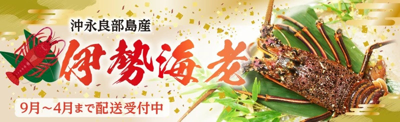 【2026年先行予約】竹マンゴーファーム 大玉パッションフルーツ（12個入り）　C039-002