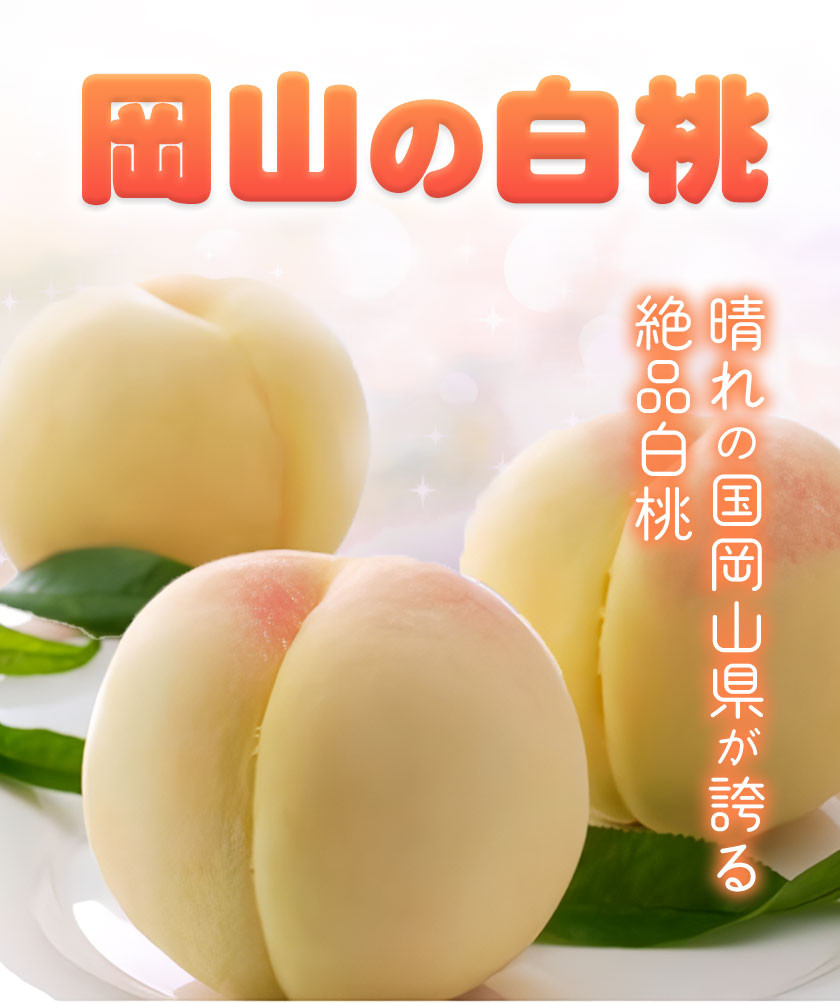  【令和8年度先行予約】 岡山の白桃 晩生種 大玉3玉 約900g 晴れの国 おかやま館(つむぐ株式会社) 《2026年7月下旬-8月下旬頃出荷》岡山県 浅口市 フルーツ モモ 果物 青果 旬【配送不可地域あり】（離島） st-p