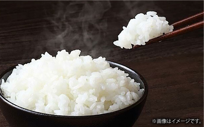 【令和7年産米】 お米 長崎こしひかり5kg×2 長崎県/サンフリード [42AAAK004] こめ コメ 国産 精米 ごはん