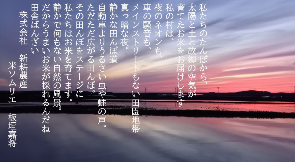 【新米受付・令和8年産米】【3ヶ月定期便】食味鑑定士板垣謹製 新潟県村上市岩船産 コシヒカリ 白米 5kg×3ケ月 1039049N