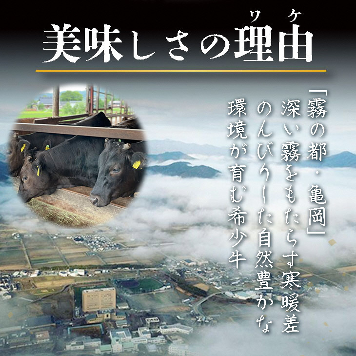 亀岡牛 特選 サーロインステーキ 1kg ( 250g×4枚 ) ※冷凍 ≪黒毛和牛 肉 牛肉 サーロイン ステーキ 焼肉≫ 亀岡牛専門店（有）木曽精肉店 ☆祝！亀岡牛 2023年最優秀賞（農林水産大臣賞）受賞