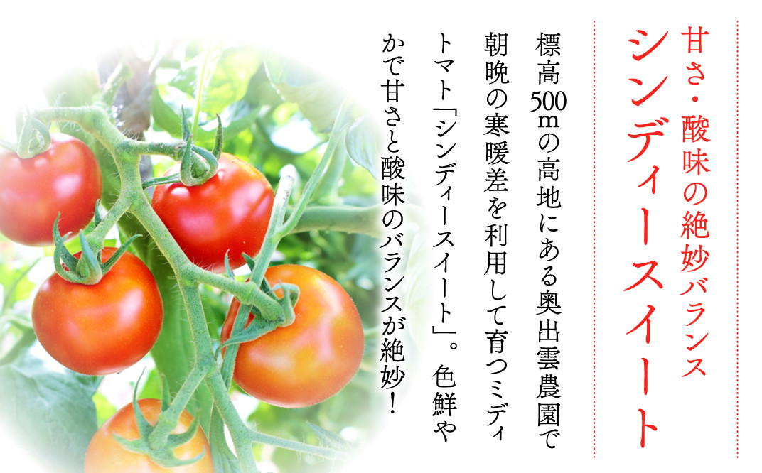 世界基準の奥出雲高原ミディトマト1.3kg(中玉サイズ)【トマト とまと 野菜 ミディトマト 1.3kg 中玉 厳選 新鮮 健康 美容 安心 安全 美味しい サラダ シンディースィート リコピン やさい】