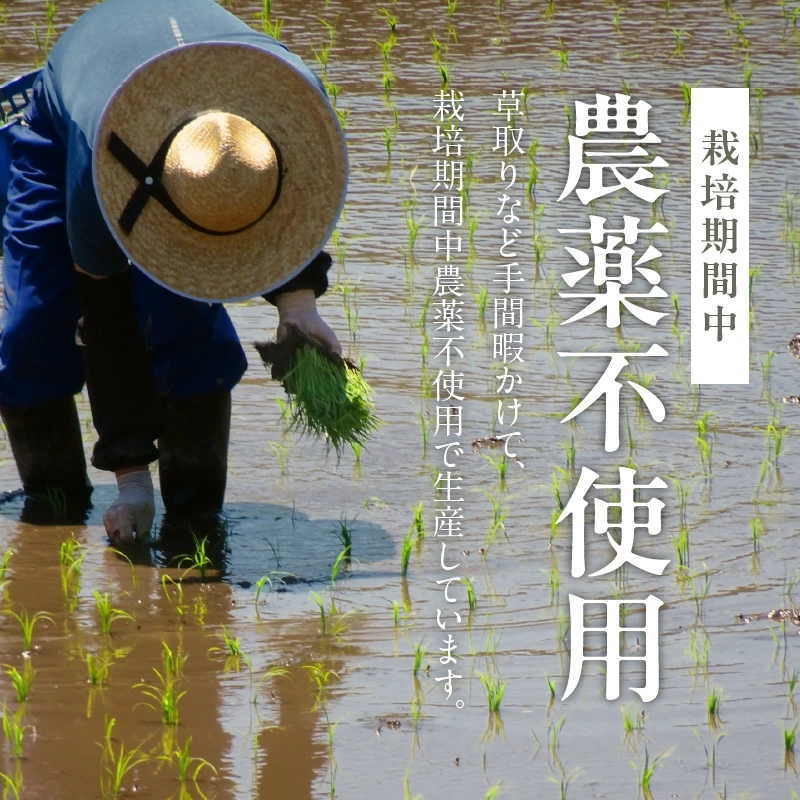 米くろ米500g N0182-YA0472