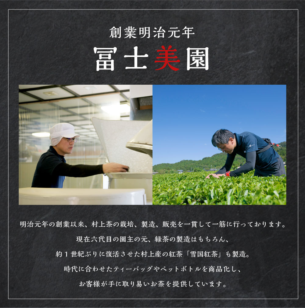 A4067 雪国緑茶・雪国紅茶ギフトBOX 350ml×各6本 ペットボトル 