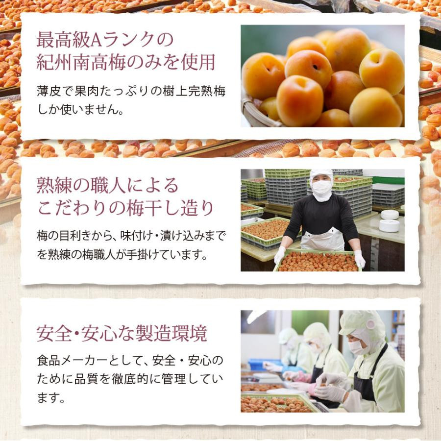 無添加梅干し 【A級品】紀州南高梅 紀州完熟白干し梅 500g 塩分23％  /  南高梅 和歌山県産 天日塩 調味料不使用 添加物不使用 保存料不使用 熱中症対策 昔ながら しょっぱい梅 返礼品 ギフト 贈り物 お中元 お歳暮 贈答 熨斗対応可 せんのうめ 仙宝 【spo011】