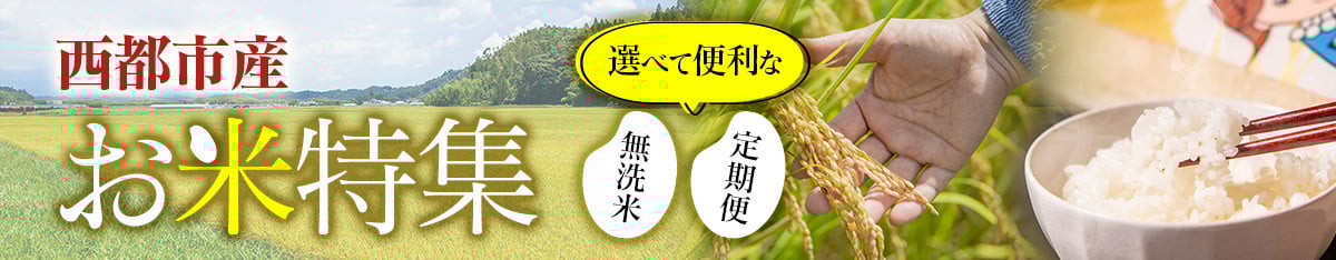 【2ヶ月定期便】最高級ブランド『太陽のタマゴ』4Lサイズ2個入り【糖度15度以上】宮崎県西都市産完熟マンゴー<10-18>宮崎完熟マンゴー 果物 フルーツ 甘い【先行予約】
