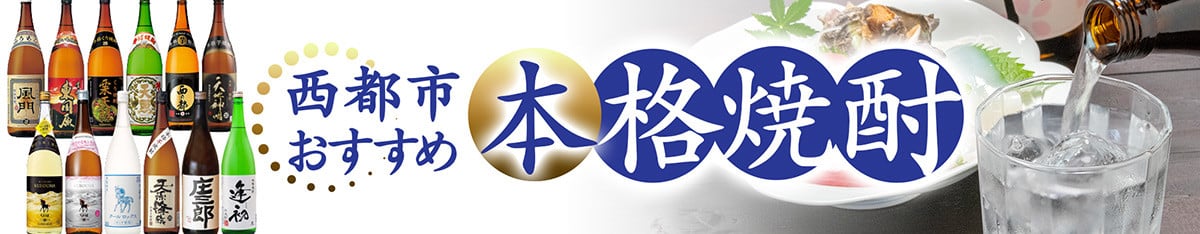 【2ヶ月定期便】最高級ブランド『太陽のタマゴ』4Lサイズ2個入り【糖度15度以上】宮崎県西都市産完熟マンゴー<10-18>宮崎完熟マンゴー 果物 フルーツ 甘い【先行予約】