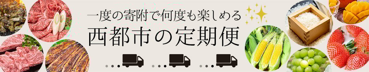 【2ヶ月定期便】最高級ブランド『太陽のタマゴ』4Lサイズ2個入り【糖度15度以上】宮崎県西都市産完熟マンゴー<10-18>宮崎完熟マンゴー 果物 フルーツ 甘い【先行予約】