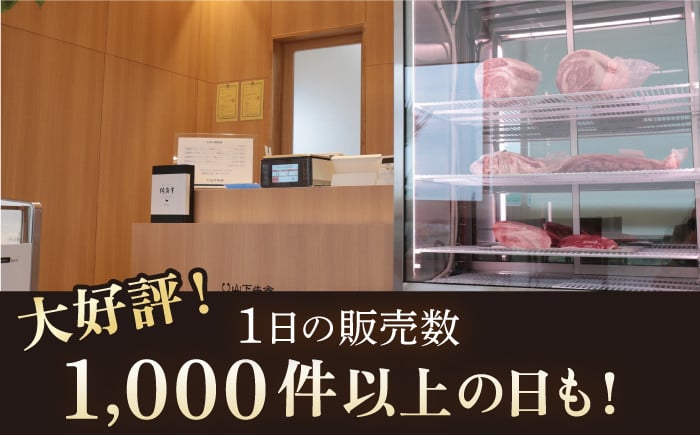 【全6回定期便】佐賀牛 A5 ヒレ サイコロステーキ 500g ( 250g×2パック )【山下牛舎】 [HAD073]牛肉 ヒレステーキ 希少部位 フィレ フィレステーキ A5 黒毛和牛 佐賀 ギフト