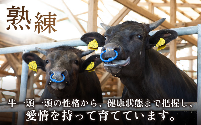 【全6回定期便】佐賀牛 A5 ヒレ サイコロステーキ 500g ( 250g×2パック )【山下牛舎】 [HAD073]牛肉 ヒレステーキ 希少部位 フィレ フィレステーキ A5 黒毛和牛 佐賀 ギフト