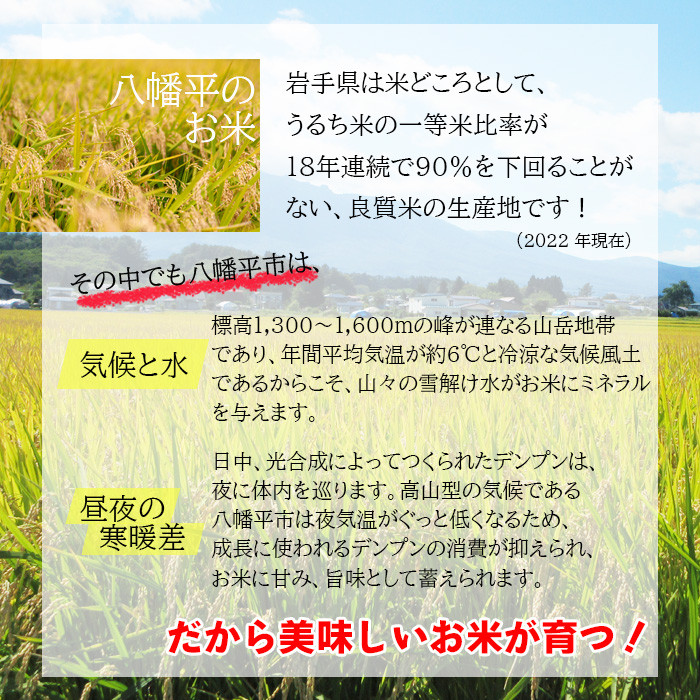 【令和7年産】 つきあかり 玄米 10kg（5kg×2袋） ／ 中沢農産 こめ 米 コメ お米 おこめ ご飯 ごはん げんまい げん米 おにぎり お弁当 仕送り お取り寄せ 産地直送 農家直送 単一原料米 国産 国産米 東北 岩手県産 八幡平市産 数量限定 おすすめ オススメ おいしい 美味しい
