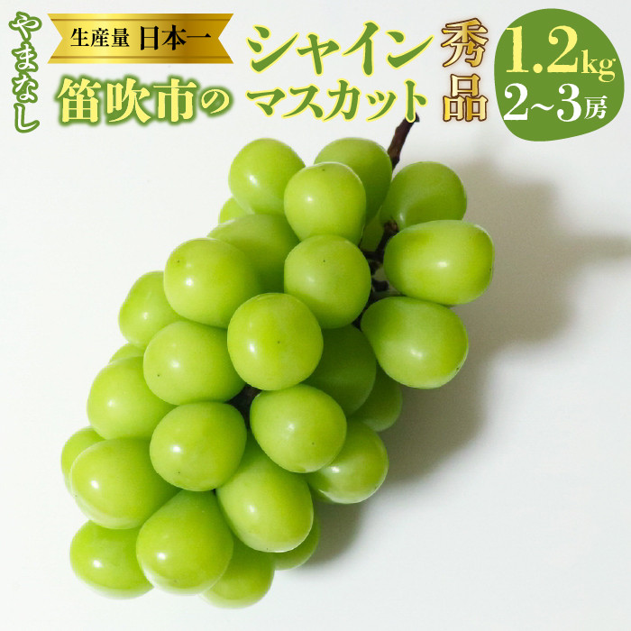 【2026年発送★先行予約】山梨県 笛吹産 シャインマスカット 1.2kg(2~3房)秀品 215-008-26y